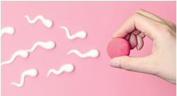 Kdy mám plodné dny?