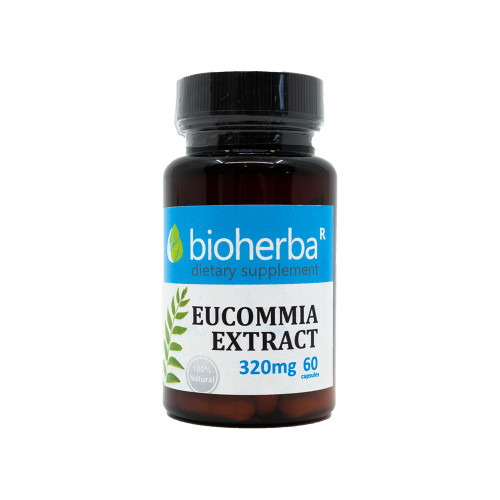 Eucommia výtažek 320 mg, 60 kapslí