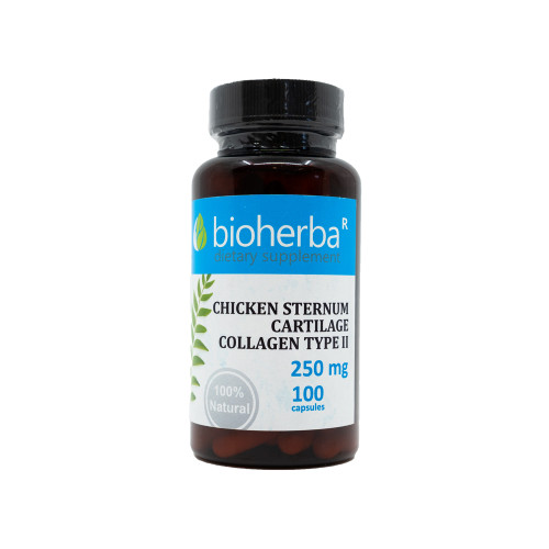 Kolagen typu II 250 mg, 100 kapslí
