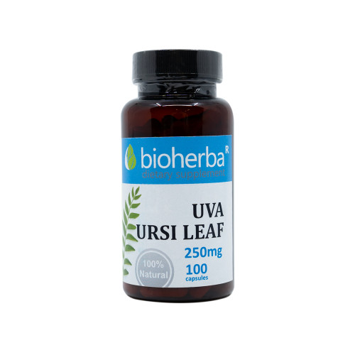 Medvědice lékařská (Uva ursi) 250 mg, 100 kapslí