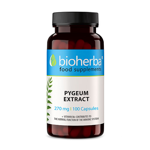 Africká slivka - pygeum.