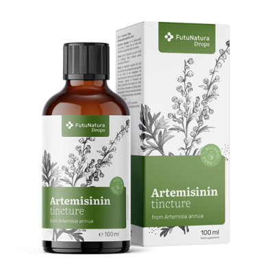 Artemisinin – tinktura z pelyňku ročního