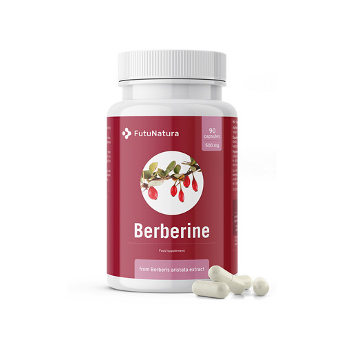 Berberin 500 mg  z výtažku Berberis aristata