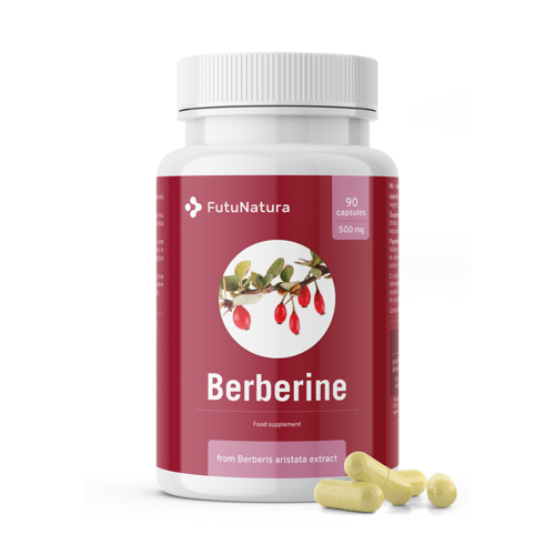 Berberin 500 mg, 90 kapslí