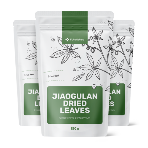 3x Jiaogulan sušené listy, dohromady 450 g