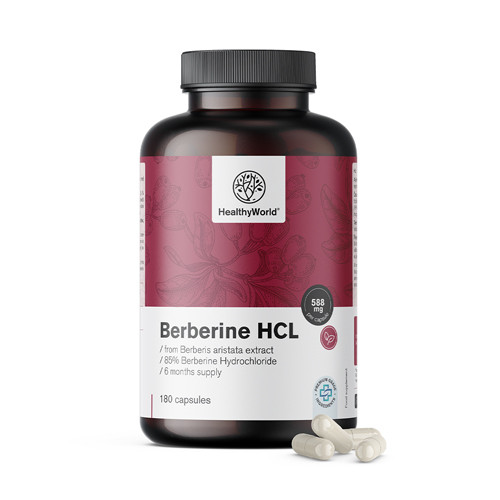 Berberin HCL 500 mg  z výtažku Berberis aristata