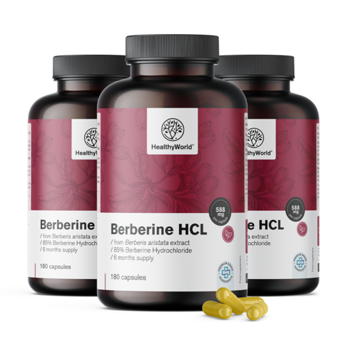 3x Berberin HCL 500 mg, dohromady 540 kapslí