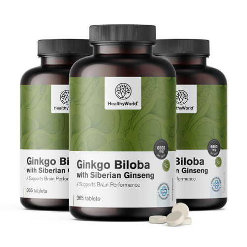 3x Ginkgo biloba se sibiřským ženšenem 6600 mg, dohromady 1095 tablet