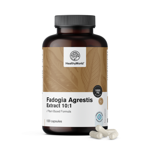 Fadogia Agrestis 1000 mg, 120 kapslí