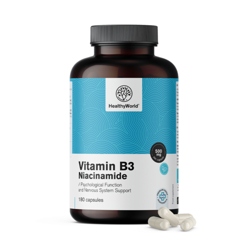 Vitamín B3 500 mg – niacinamid, 180 kapslí