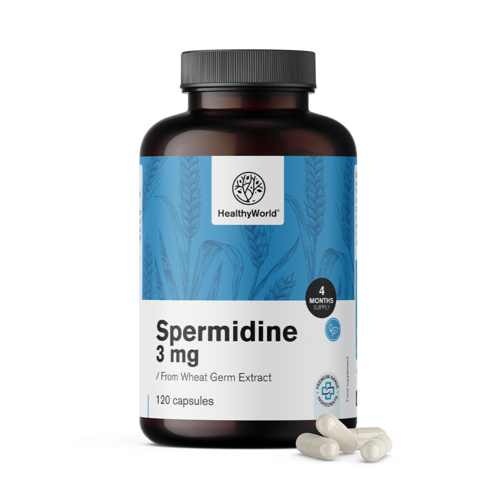 Spermidin 3 mg - z výtažku z pšeničných klíčků