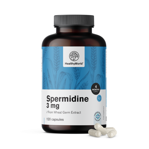Spermidin 3 mg – z výtažku z pšeničných klíčků, 120 kapslí