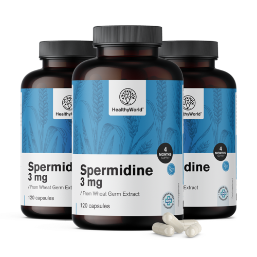 3x Spermidin 3 mg – z výtažku z pšeničných klíčků, dohromady 360 kapslí