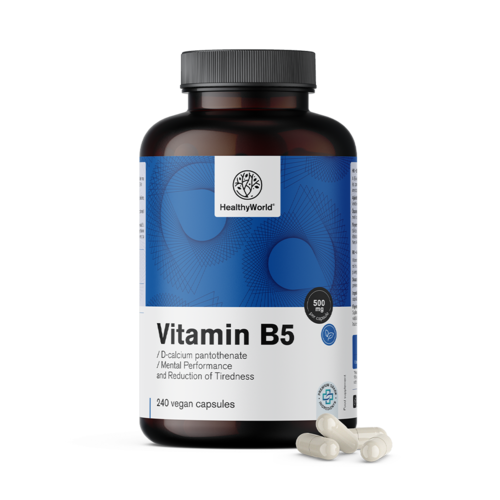 Vitamín B5 500 mg, 240 kapslí