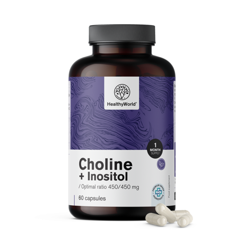 Cholin-inositol 450/450 mg, 60 kapslí
