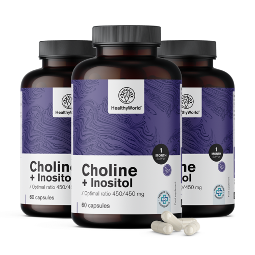 3x Cholin-inositol 450/450 mg, dohromady 180 kapslí