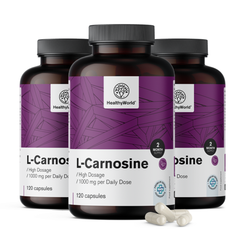 3x L-karnosin 1000 mg, dohromady 360 kapslí