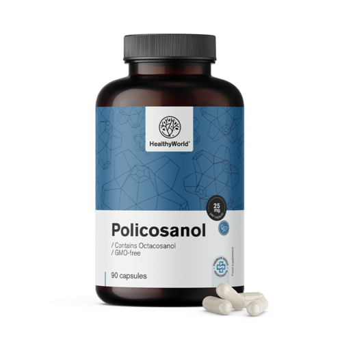 Policosanol 25 mg, 90 kapslí