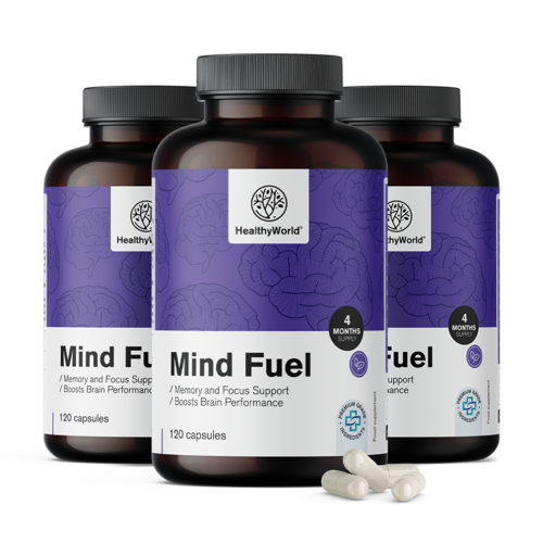 3x Mind Fuel - paměť a koncentrace, dohromady 360 kapslí