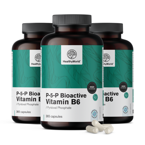 3x P-5-P – Bioaktivní vitamín B6, dohromady 1095 kapslí