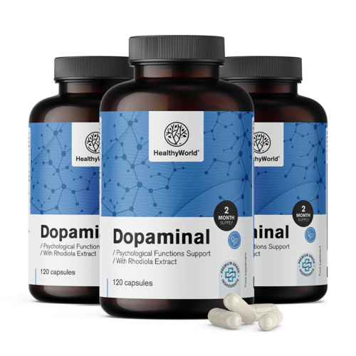 3x Dopaminal – Dopamine Support, dohromady 360 kapslí