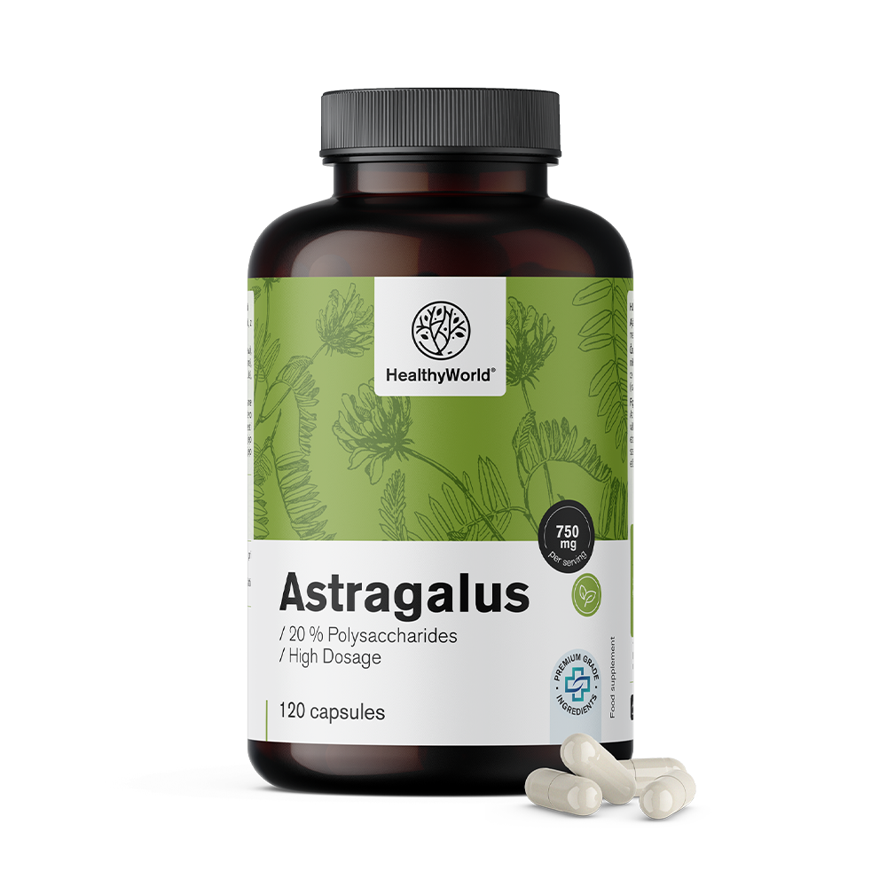 Astragalus – výtažek