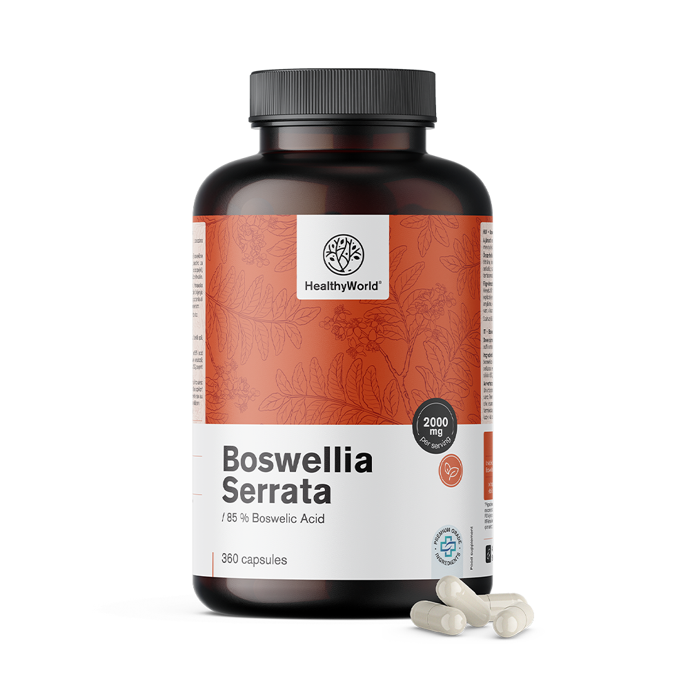 Boswellia (Boswellia Serrata) – 85 % kyseliny boswellové