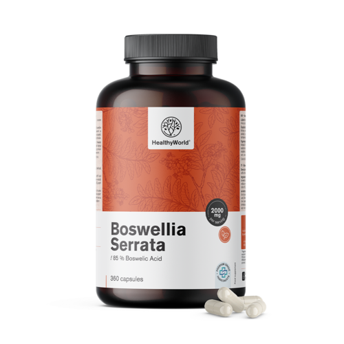 Boswellia (Boswellia Serrata) – 85 % kyseliny boswellové, 360 kapslí
