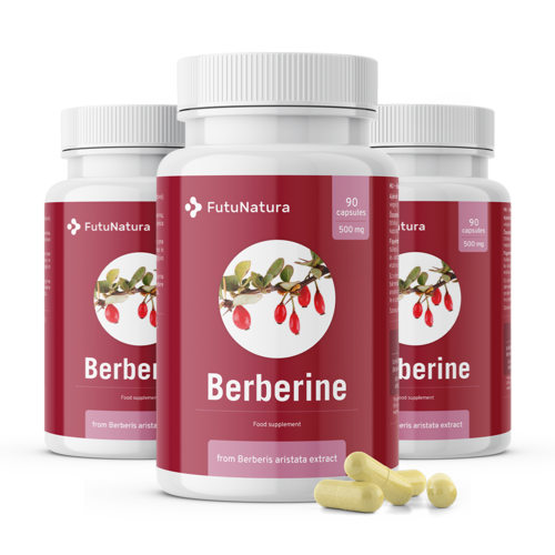 3x Berberin 500 mg, dohromady 270 kapslí