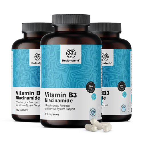 3x Vitamín B3 500 mg – niacinamid, dohromady 540 kapslí