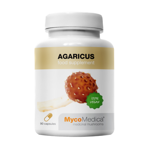 Agaricus houby.
