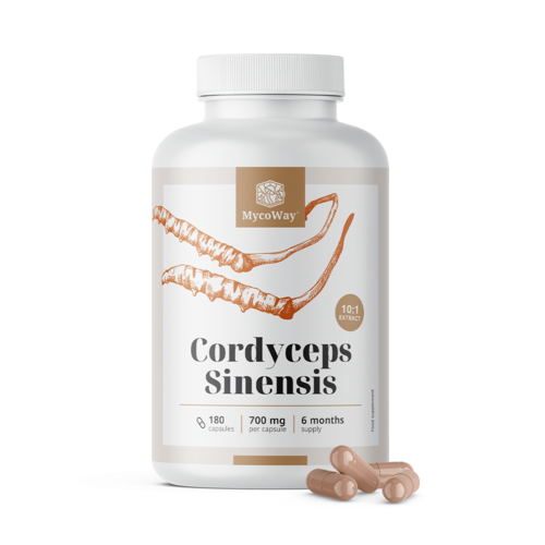 Cordyceps sinensis 1400 mg – výtažek 10:1, 180 kapslí