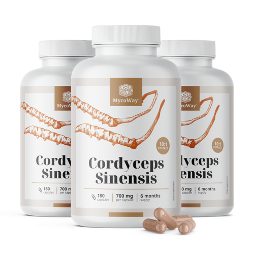 3x Cordyceps sinensis 1400 mg – výtažek 10:1, dohromady 540 kapslí