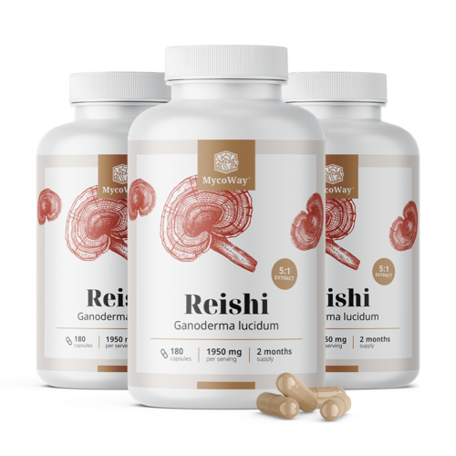 3x Reishi 1950 mg – výtažek 5:1, dohromady 540 kapslí