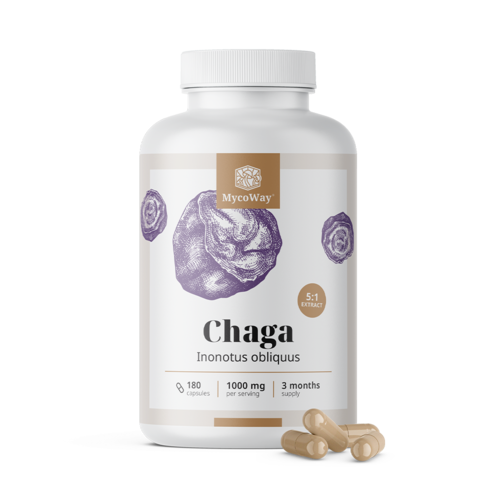 Chaga 1000 mg – výtažek 5:1, 180 kapslí