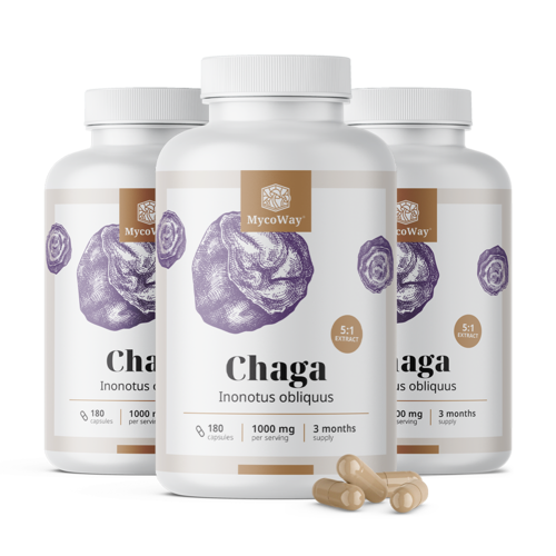 3x Chaga 1000 mg – výtažek 5:1, dohromady 540 kapslí