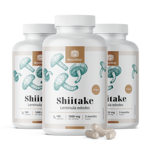 3x Shiitake 1000 mg - výtažek, dohromady 540 kapslí
