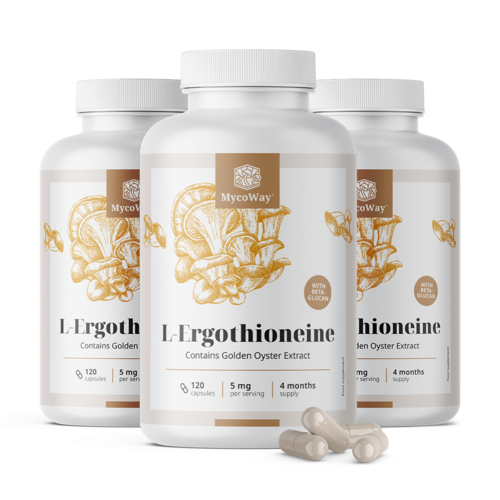 3x L-Ergothioneine 5 mg, dohromady 360 kapslí