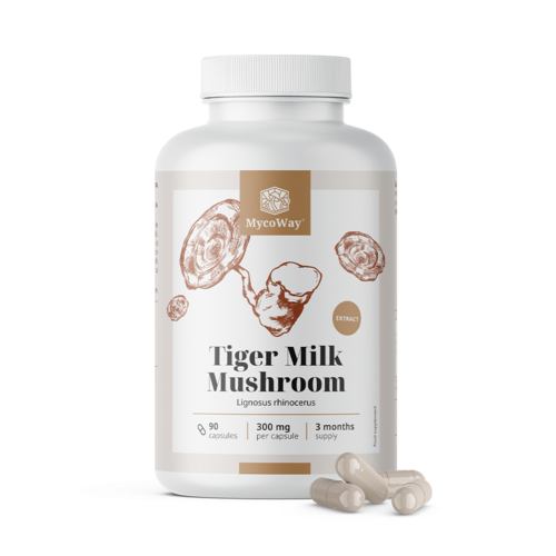 Tiger Milk 300 mg - výtažek houby Lignosus rhinocerus, 90 kapslí