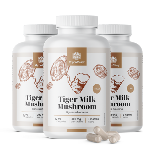 3x Tiger Milk 300 mg - výtažek houby Lignosus rhinocerus, dohromady 270 kapslí