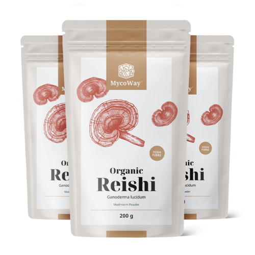 3x BIO Reishi v prášku, dohromady 600 g