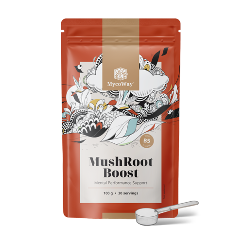 MushRoot Boost - nápoj pro duševní výkonnost, 100 g