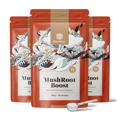 3x MushRoot Boost - nápoj pro duševní výkonnost, dohromady 300 g
