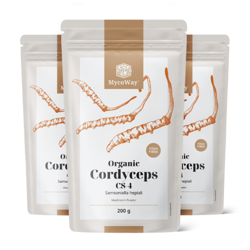 3x BIO Cordyceps CS-4 v prášku, dohromady 600 g