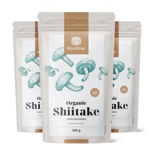 3x BIO Shiitake v prášku, dohromady 600 g
