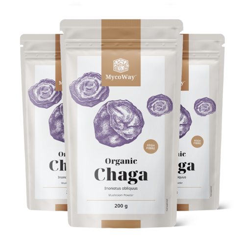 3x BIO Chaga v prášku, dohromady 600 g