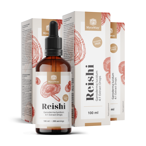3x Reishi – výtažek v kapkách, dohromady 300 ml