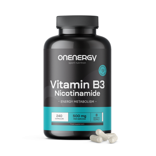 Vitamín B3 500 mg - nikotinamid, 240 kapslí
