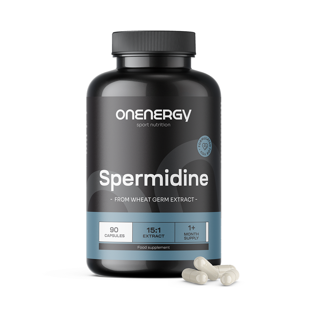 Spermidin – z výtažku pšeničných klíčků